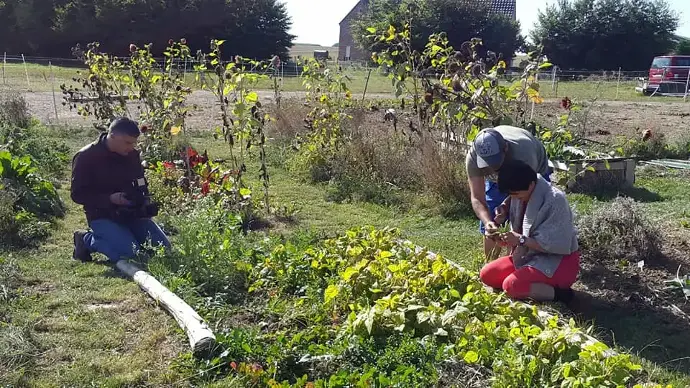 Les bénéficiaires des Garances font leur potager avec un éducateur