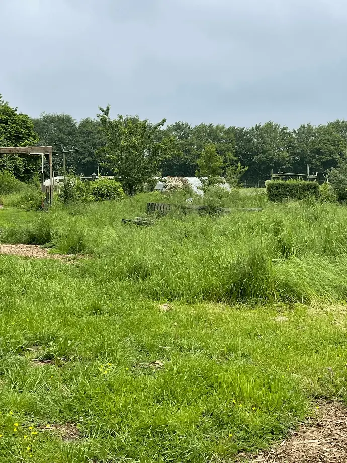 Pré où s'installeront de nouveaux animaux aux Garances